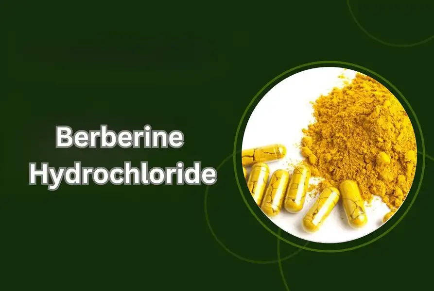 What is Berberine Hydrochloride and Its Benefits?